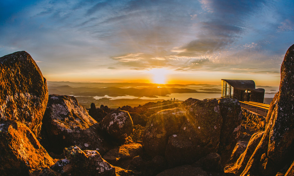 Mountain Wellington  (Half-day Tour)